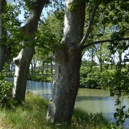 T2 A Herault Daire *